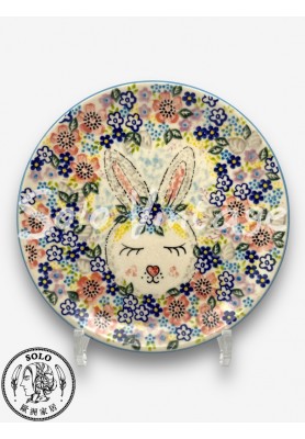 圓盤 19cm