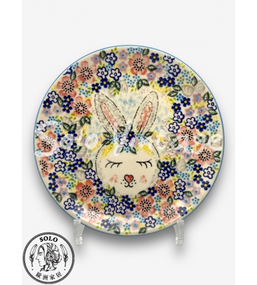 圓盤 19cm