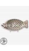 魚型盤 38x17cm