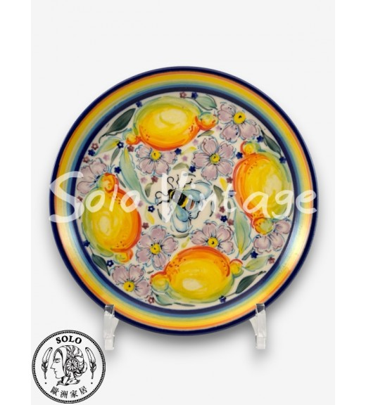 圓盤 19cm