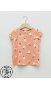 COTTON KNIT TSHIRT - PALE PEACH
